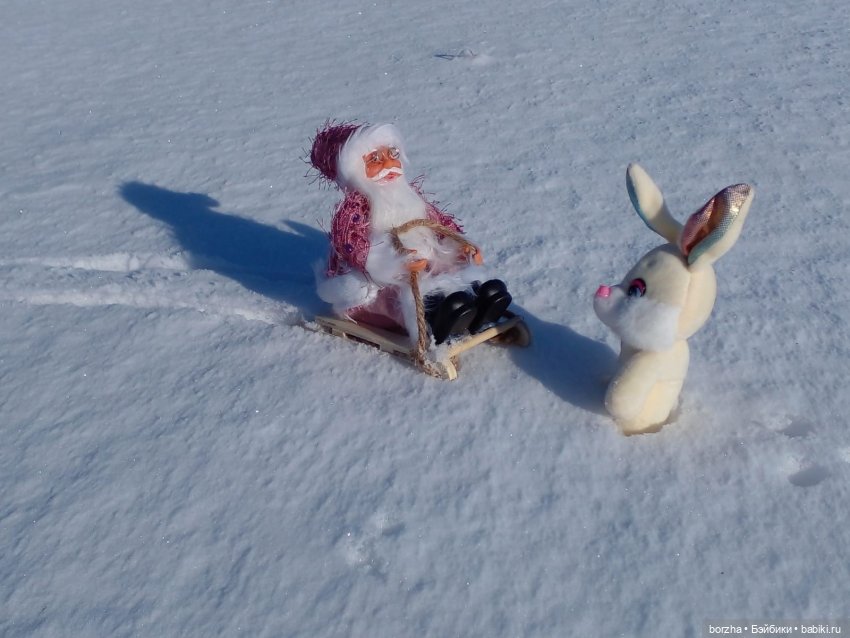 Как Деды Морозы искали Зайца (фото 7)