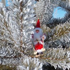 Как Деды Морозы искали Зайца