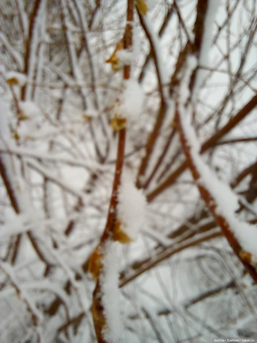 Зима недаром злится — Игровые куклы разных производителей (Разное): редкие бренды (фото 8)