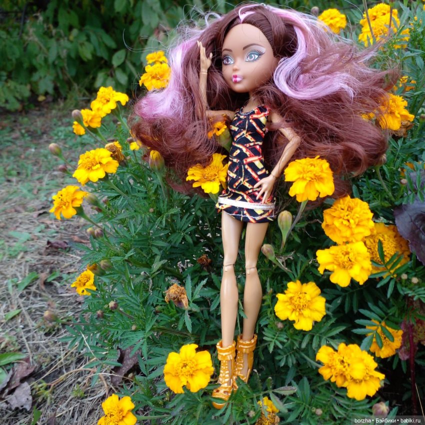 Вот уж кто знает, кем быть (фото 2)