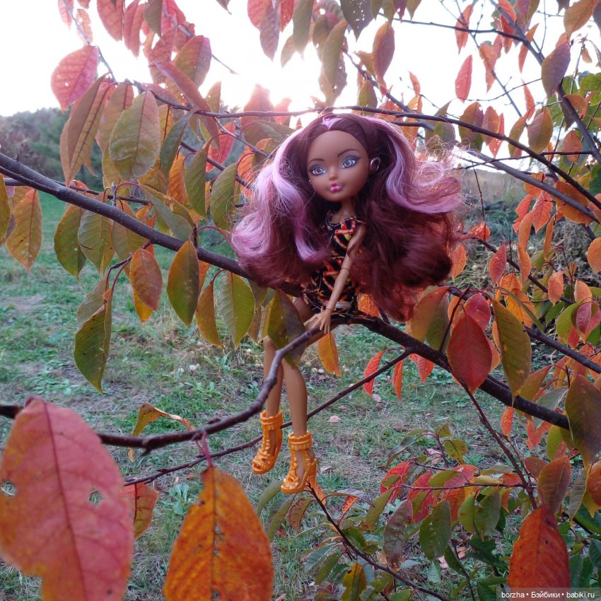 Вот уж кто знает, кем быть (фото 6)