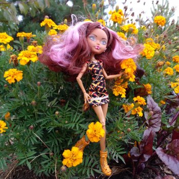 Вот уж кто знает, кем быть