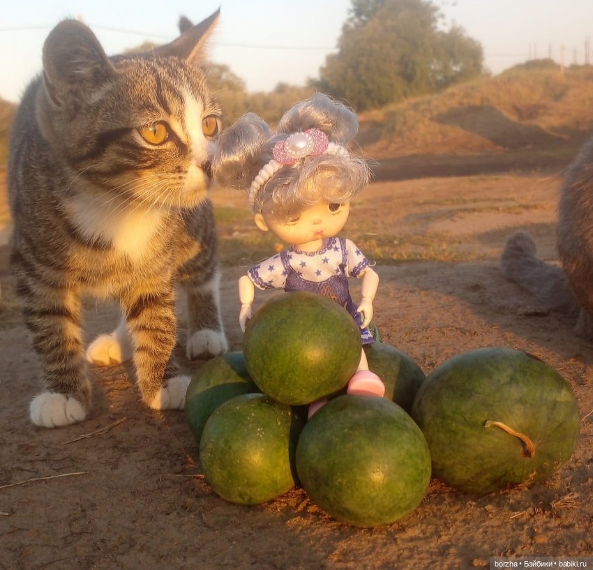 Полосатое солнце — Куклы Baboliy (Баболи