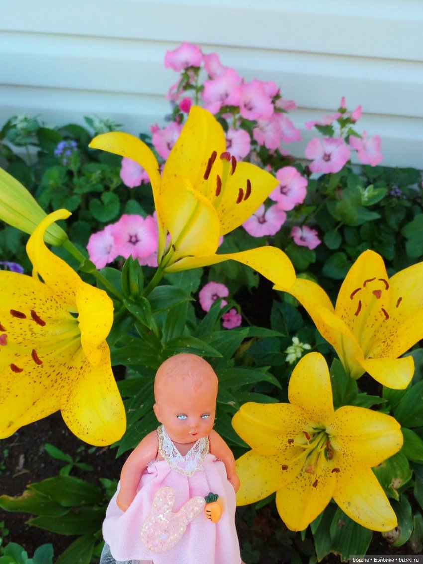 Вероника и цветочки — Винтажные куклы ГДР (Немки): Бигги (фото 3)