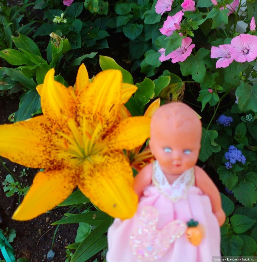 Вероника и цветочки — Винтажные куклы ГДР (Немки): Бигги (фото 6)