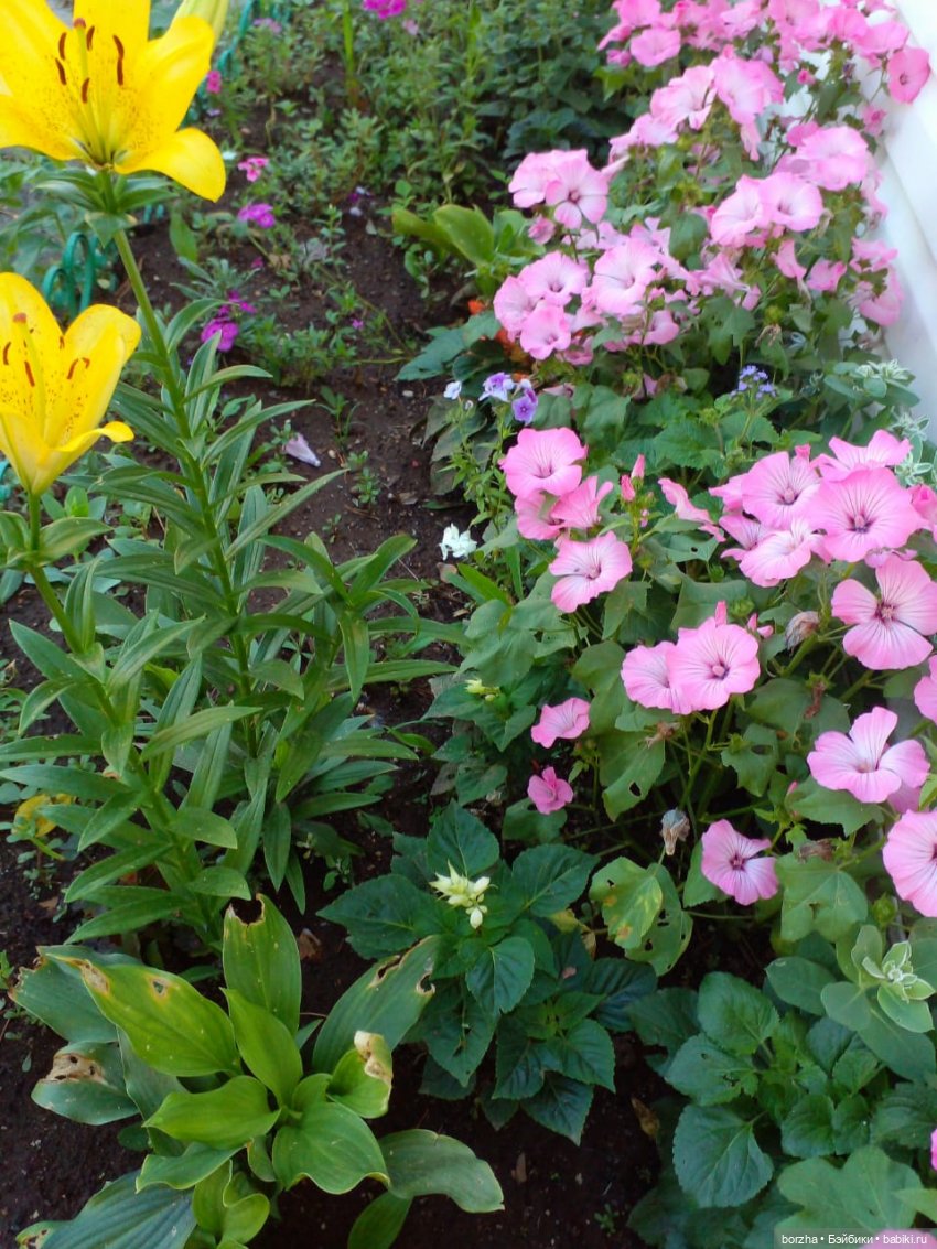 Вероника и цветочки — Винтажные куклы ГДР (Немки): Бигги (фото 4)