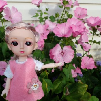 Розочкино лето