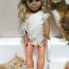 Можно ли её спасти?