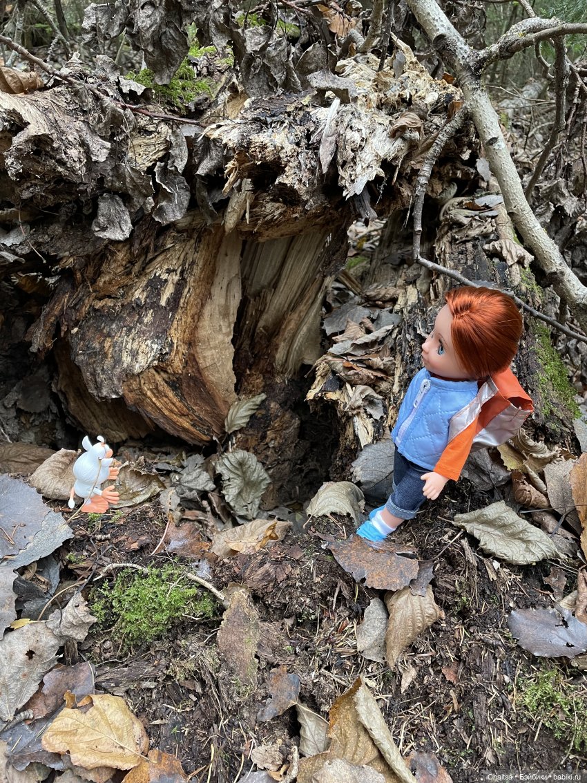 В поисках затерянного ДОТа (фото 10)