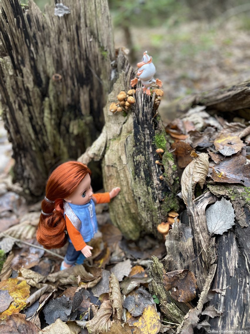 В поисках затерянного ДОТа