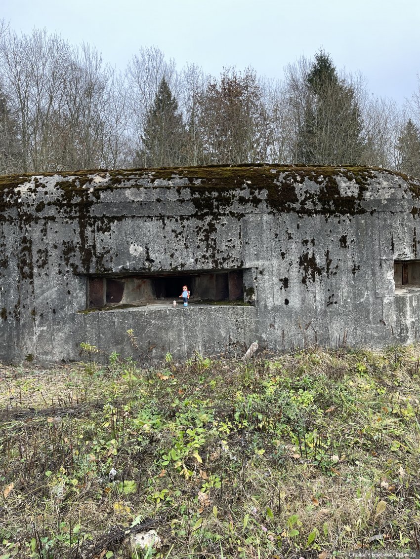 В поисках затерянного ДОТа