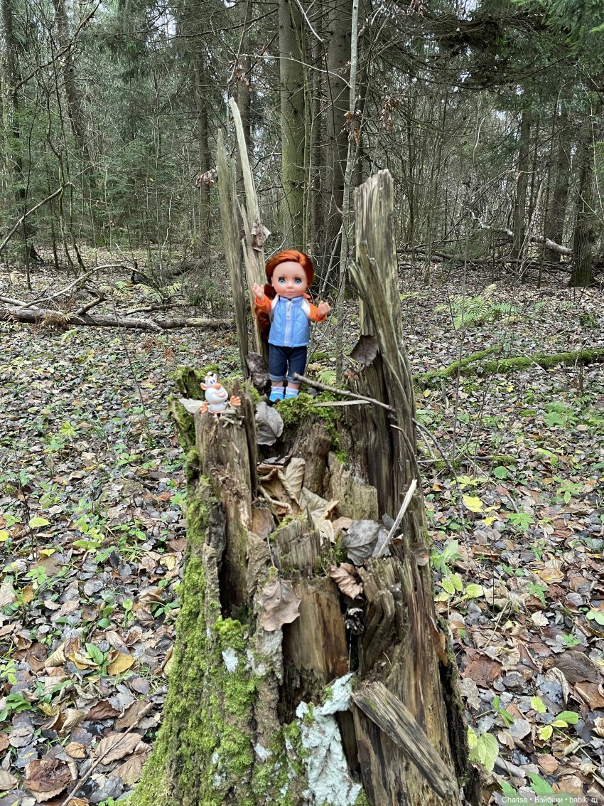 В поисках затерянного ДОТа