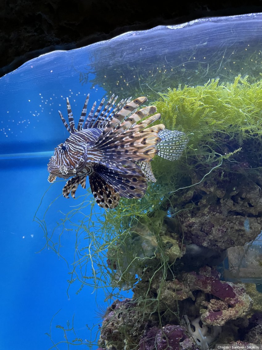 Вспоминая лето. Москва. День второй | Бэйбики Вспоминая лето. Москва. День второй