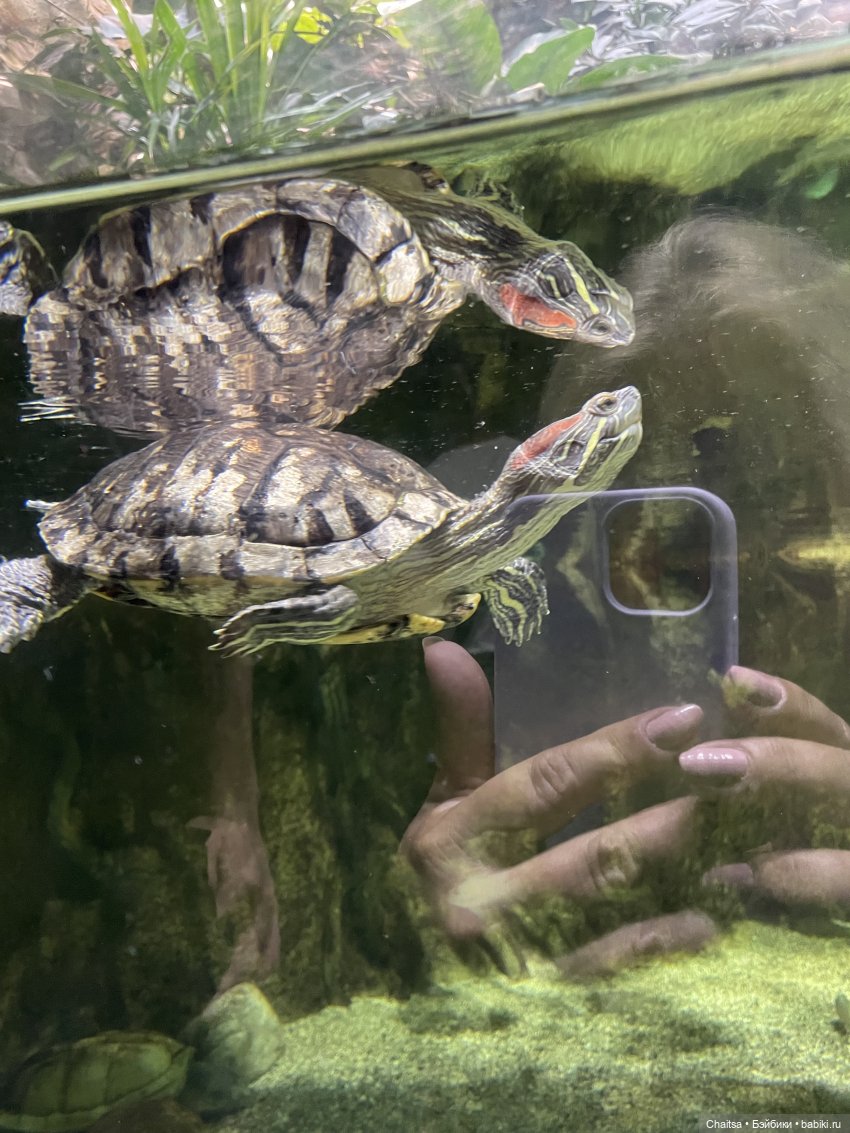 Вспоминая лето. Москва. День второй | Бэйбики Вспоминая лето. Москва. День второй