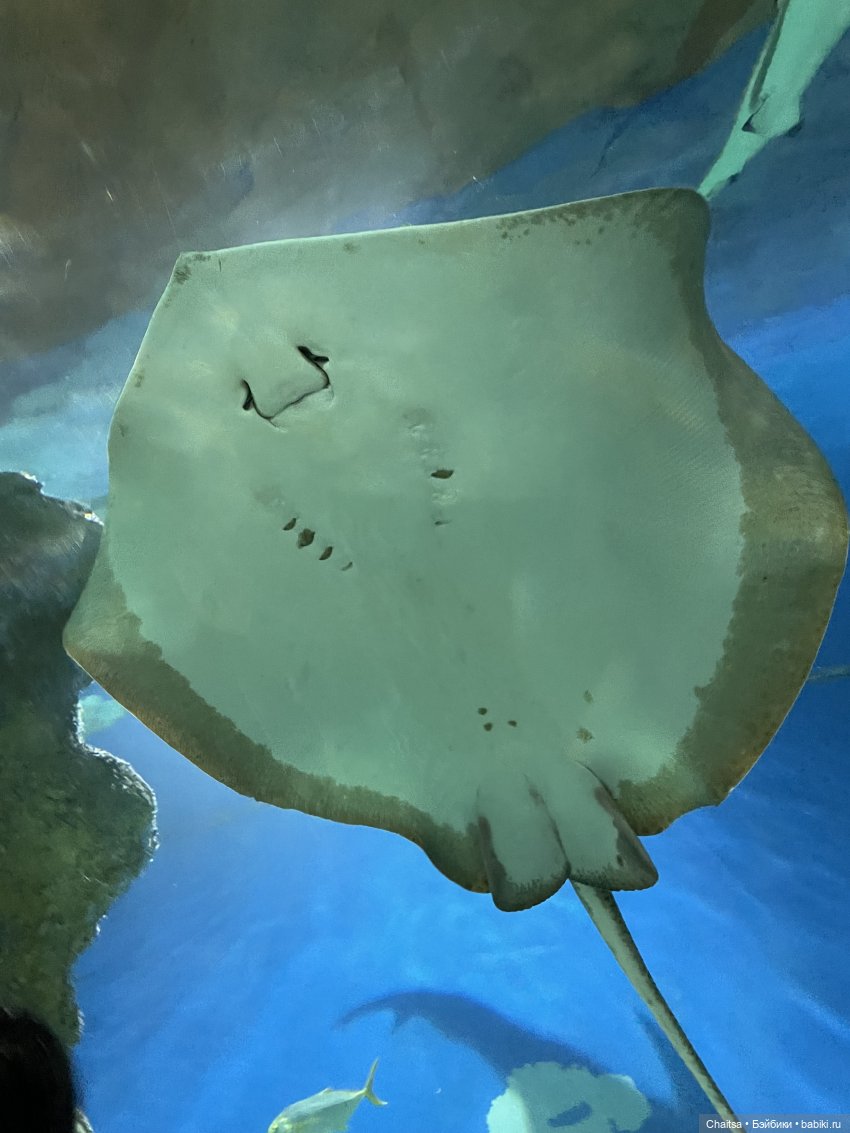 Вспоминая лето. Москва. День второй | Бэйбики Вспоминая лето. Москва. День второй