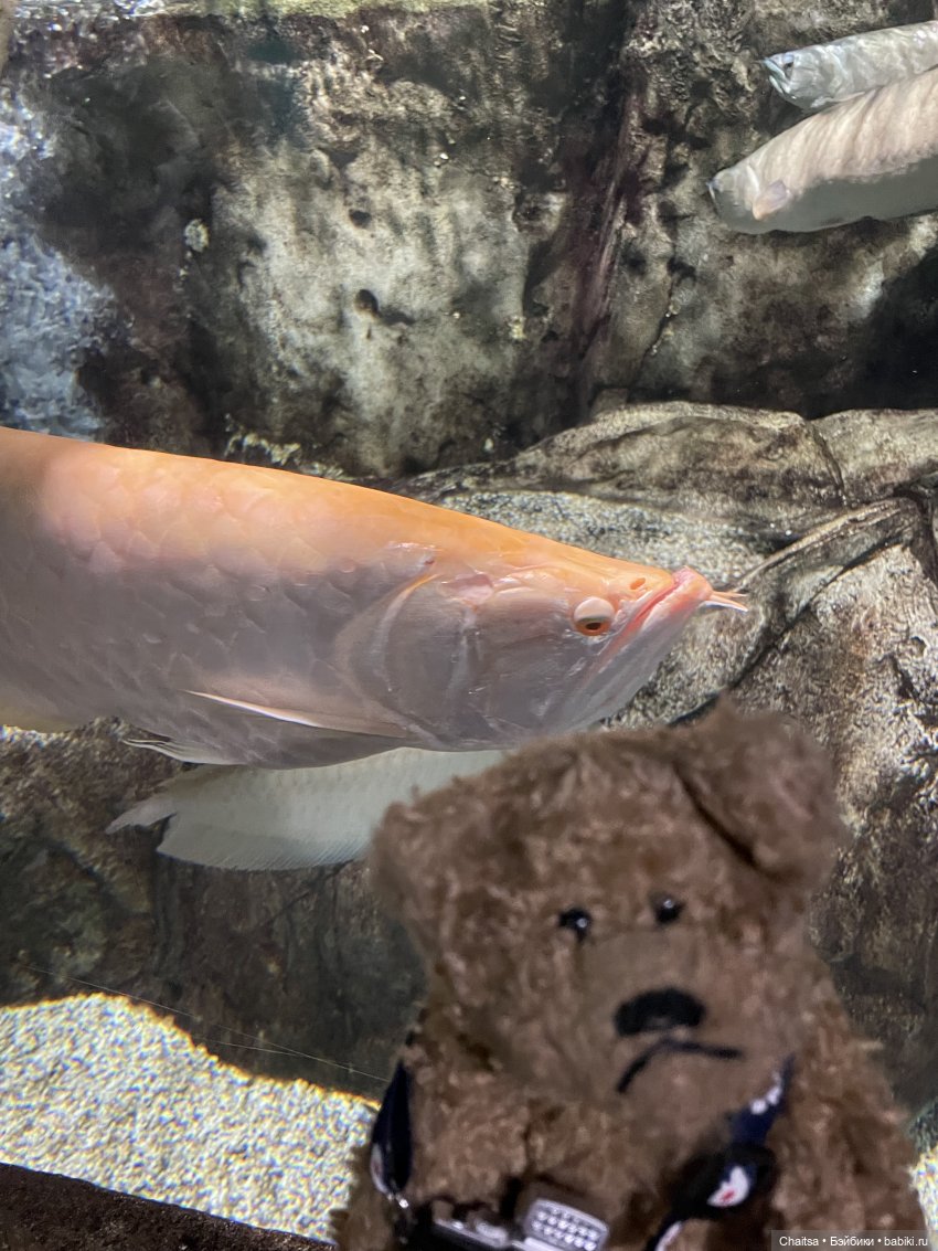 Вспоминая лето. Москва. День второй | Бэйбики Вспоминая лето. Москва. День второй