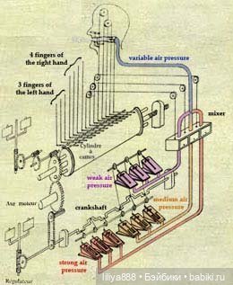внутреннее устройство флейтиста внутреннее устройство флейтиста