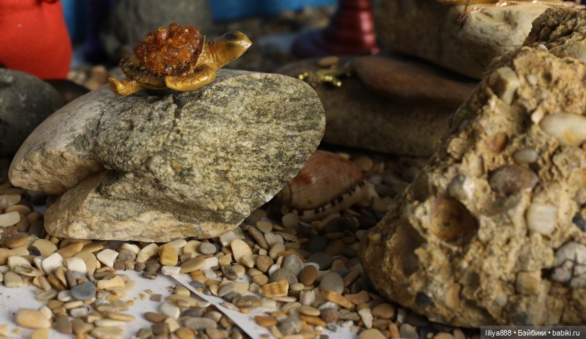 барби пираты