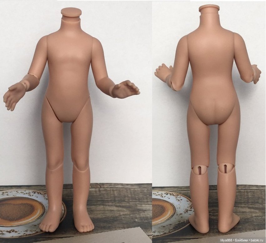 паола рейна, шарнирное тело паола рейна, шарнирное тело