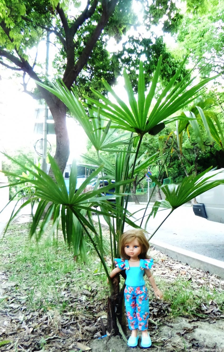 паола рейна паола рейна