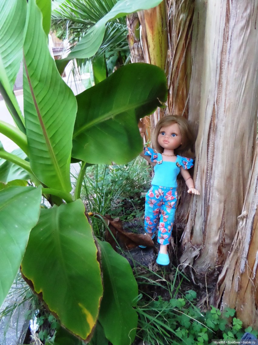 паола рейна паола рейна