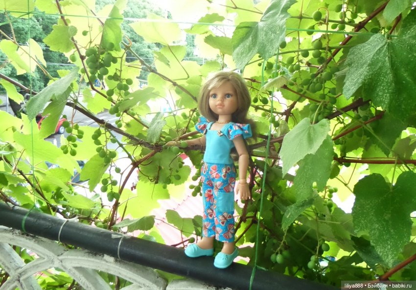 паола рейна паола рейна