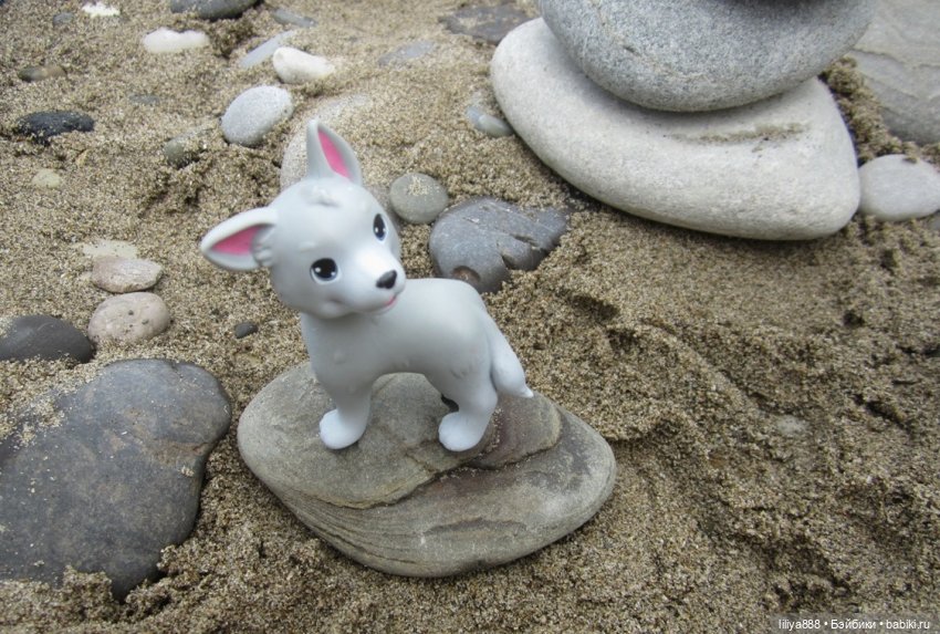 паола рейна паола рейна