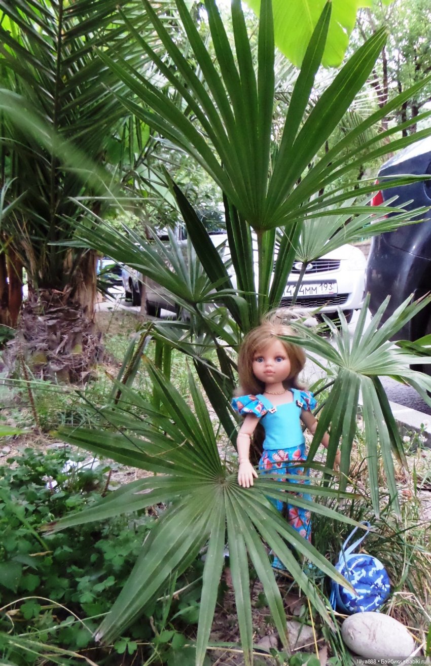 паола рейна паола рейна