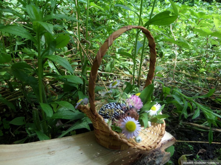 Руби Ред Ruby Red Руби Ред Ruby Red