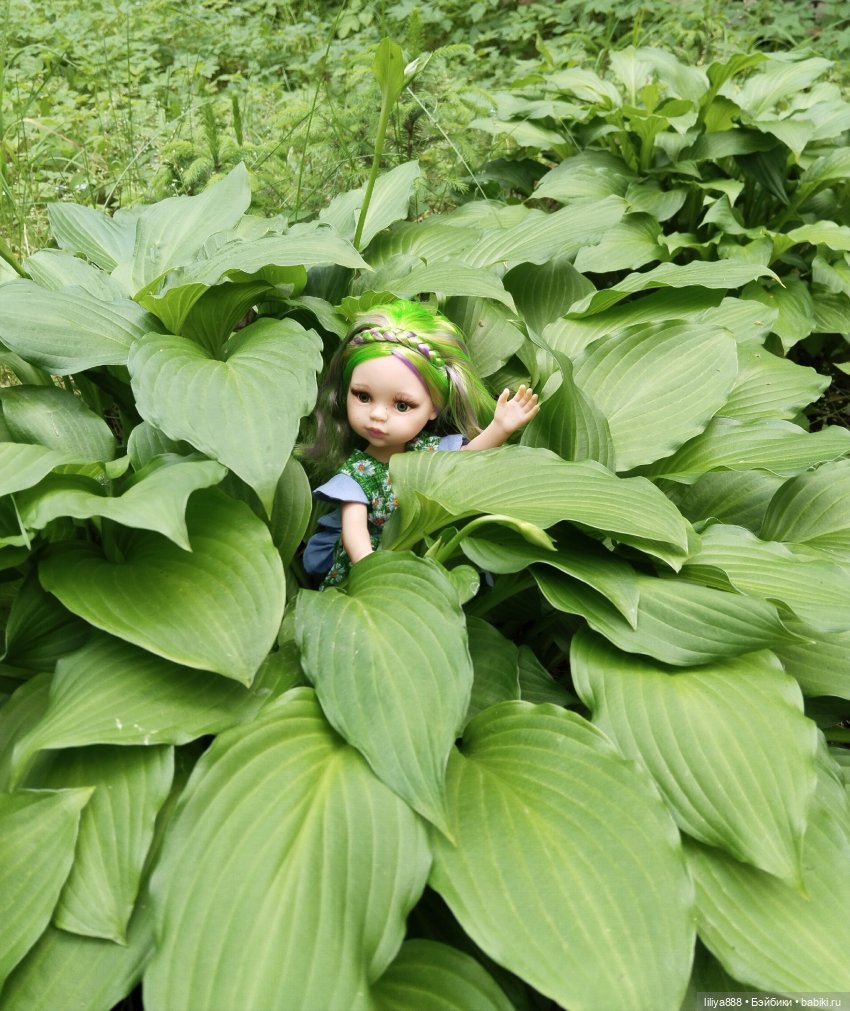 Paola Reina, Паола Рейна