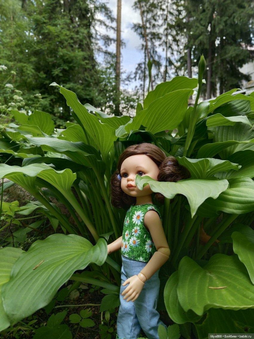 Мимикрия или Зелень лета 2023