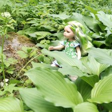 Мимикрия  или Зелень лета 2023