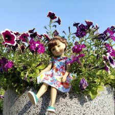 Клумба. Из цикла "Белкино лето"