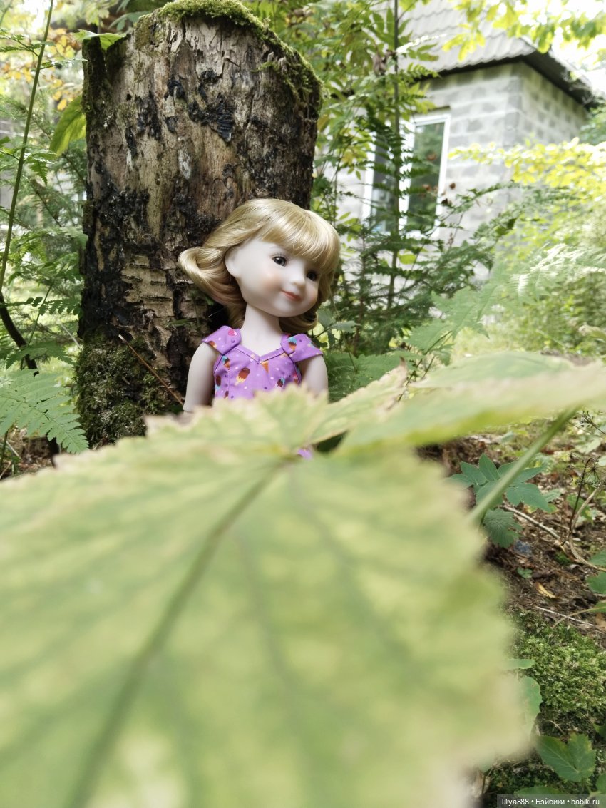 Внезапная Сара | Бэйбики Внезапная Сара — Куклы Ruby Red (Руби Ред) Fashion Friends: Siblies