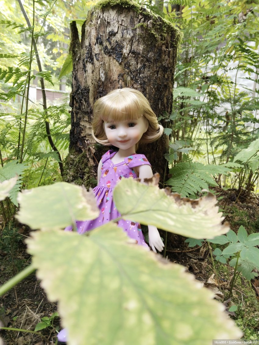 Внезапная Сара | Бэйбики Внезапная Сара — Куклы Ruby Red (Руби Ред) Fashion Friends: Siblies