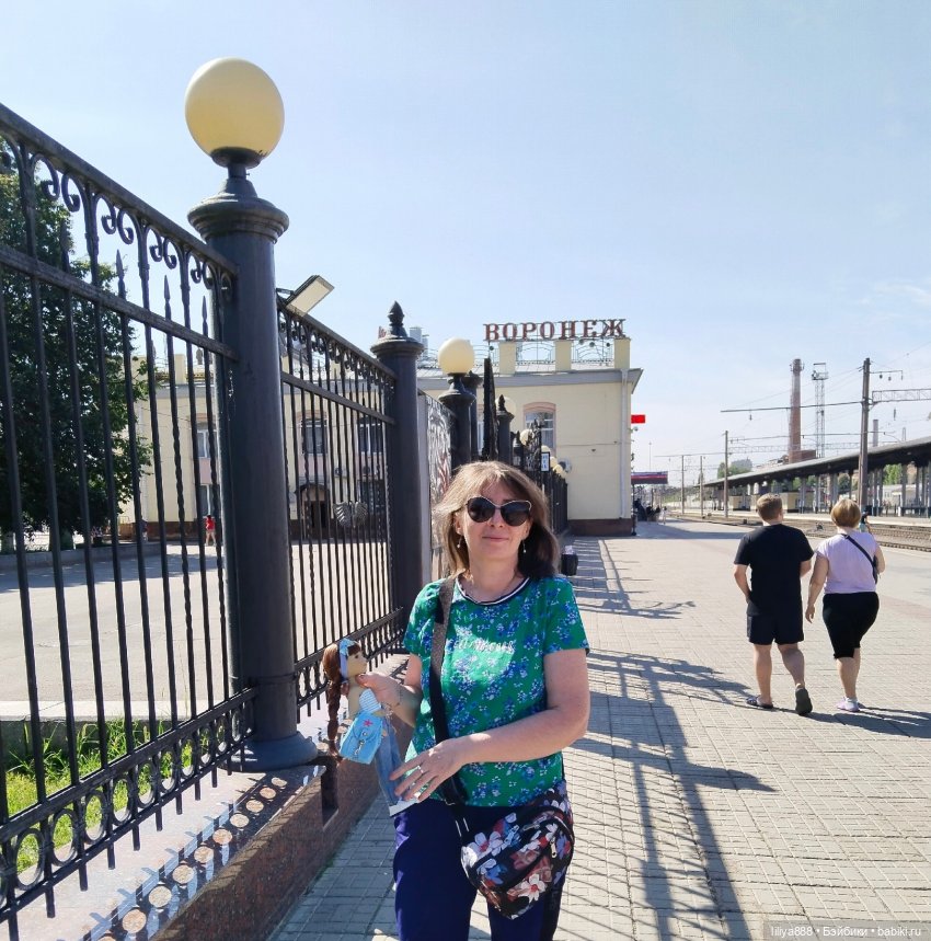 Поезд. 🚂🚃 Из цикла "Белкино лето"