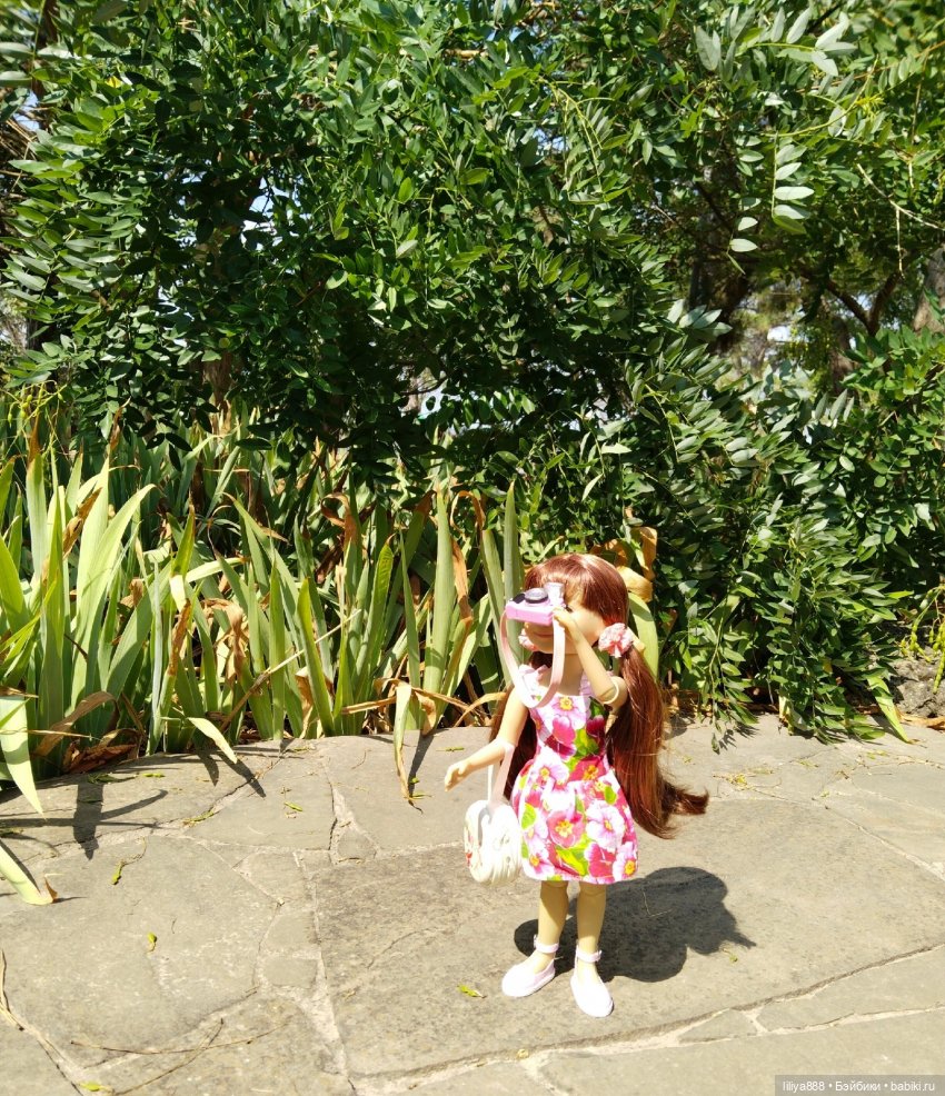 Фламинго🌸. Из цикла "Белкино лето"