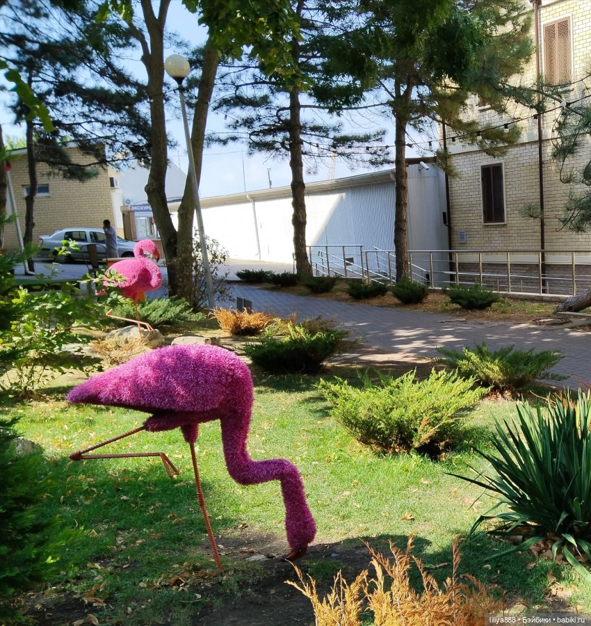 Фламинго🌸. Из цикла "Белкино лето" (фото 5)