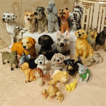 Собачья тема 🐶