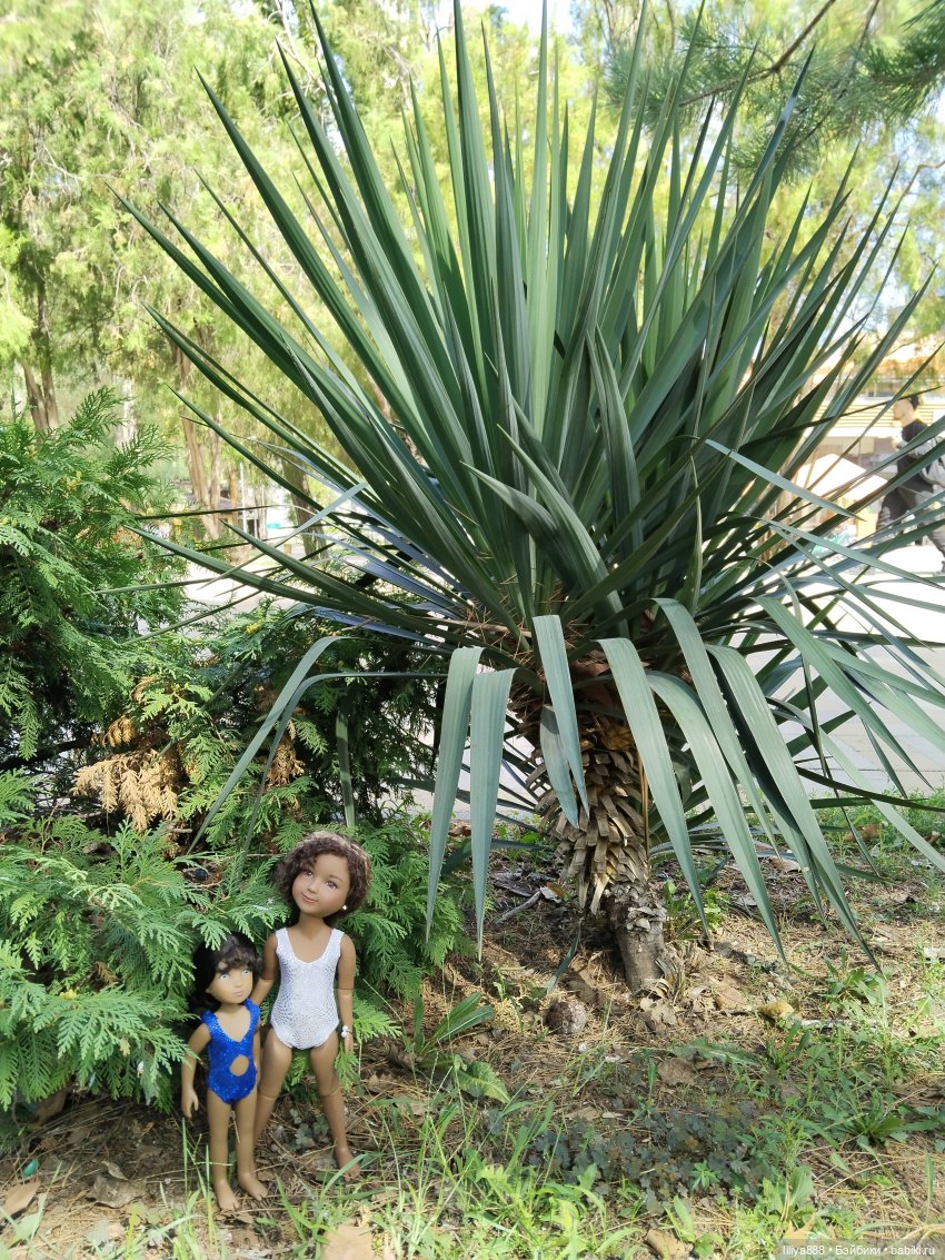 Майя Мила Море 🚉🌊(1) — Куклы Ruby Red (Руби Ред) Fashion Friends: Siblies