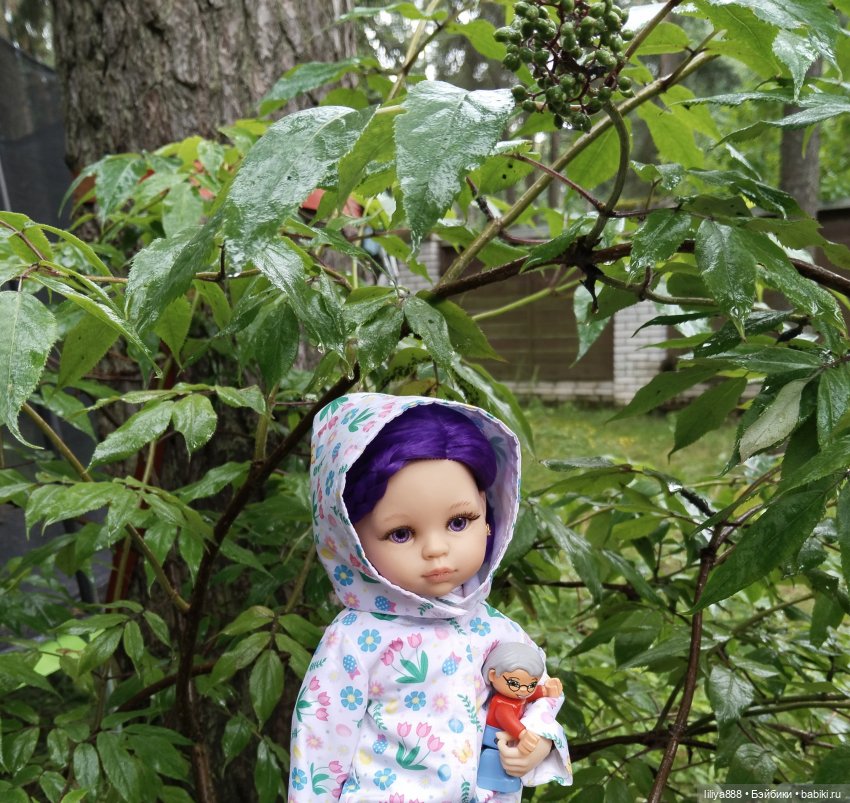 После дождя 🌿💦 (Из цикла Лето Лаванды) (фото 3)