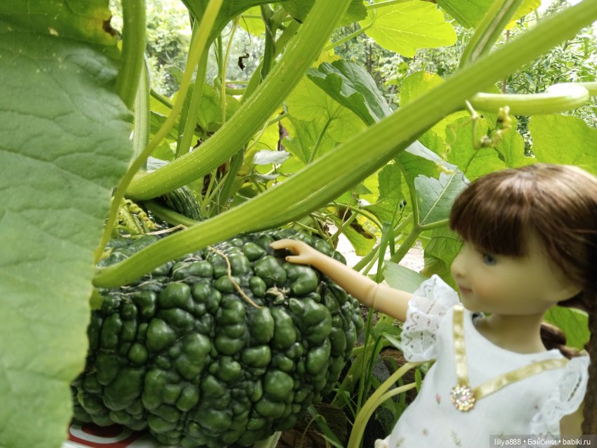 Летние мотивы-2025 | Бэйбики Летние мотивы-2025 — Куклы Ruby Red (Руби Ред) Fashion Friends: Siblies