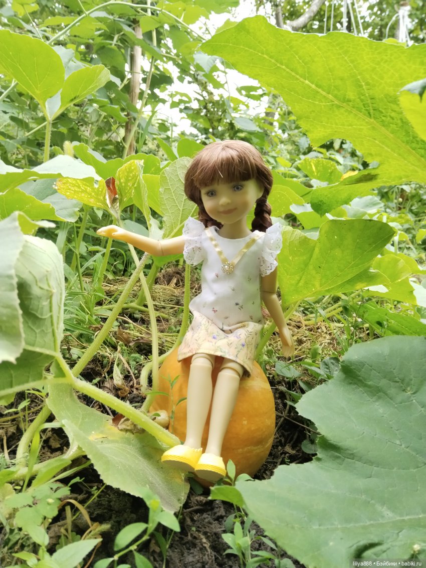 Летние мотивы-2025 | Бэйбики Летние мотивы-2025 — Куклы Ruby Red (Руби Ред) Fashion Friends: Siblies