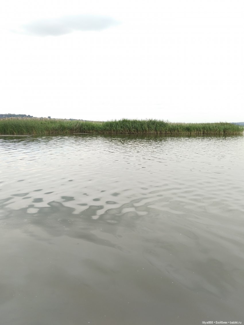 Летние мотивы-2025 | Бэйбики Летние мотивы-2025 — Куклы Ruby Red (Руби Ред) Fashion Friends: Siblies