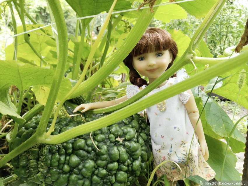 Летние мотивы-2025 | Бэйбики Летние мотивы-2025 — Куклы Ruby Red (Руби Ред) Fashion Friends: Siblies