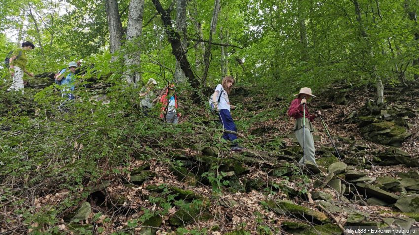 По горам, лесам и рекам (из цикла Лето Лаванды) | Бэйбики По горам, лесам и рекам (из цикла Лето Лаванды) (фото 6)