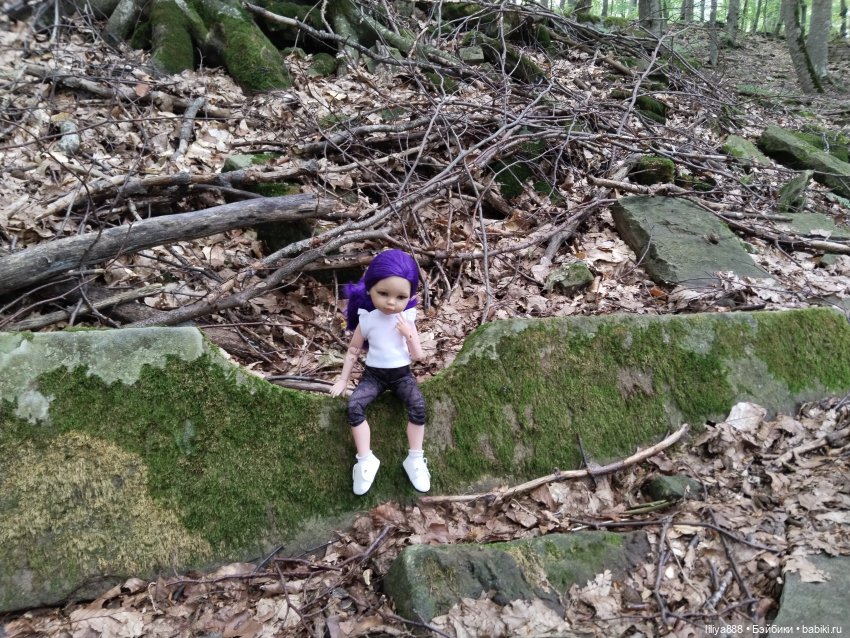 По горам, лесам и рекам (из цикла Лето Лаванды) | Бэйбики По горам, лесам и рекам (из цикла Лето Лаванды)