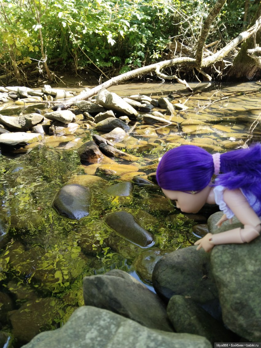 По горам, лесам и рекам (из цикла Лето Лаванды) | Бэйбики По горам, лесам и рекам (из цикла Лето Лаванды)