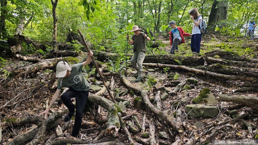 По горам, лесам и рекам (из цикла Лето Лаванды) | Бэйбики По горам, лесам и рекам (из цикла Лето Лаванды)