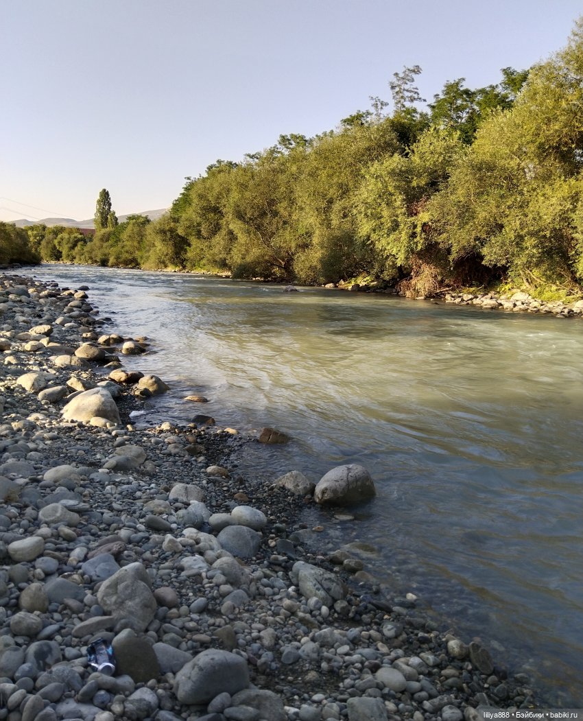 По горам, лесам и рекам (из цикла Лето Лаванды) | Бэйбики По горам, лесам и рекам (из цикла Лето Лаванды)